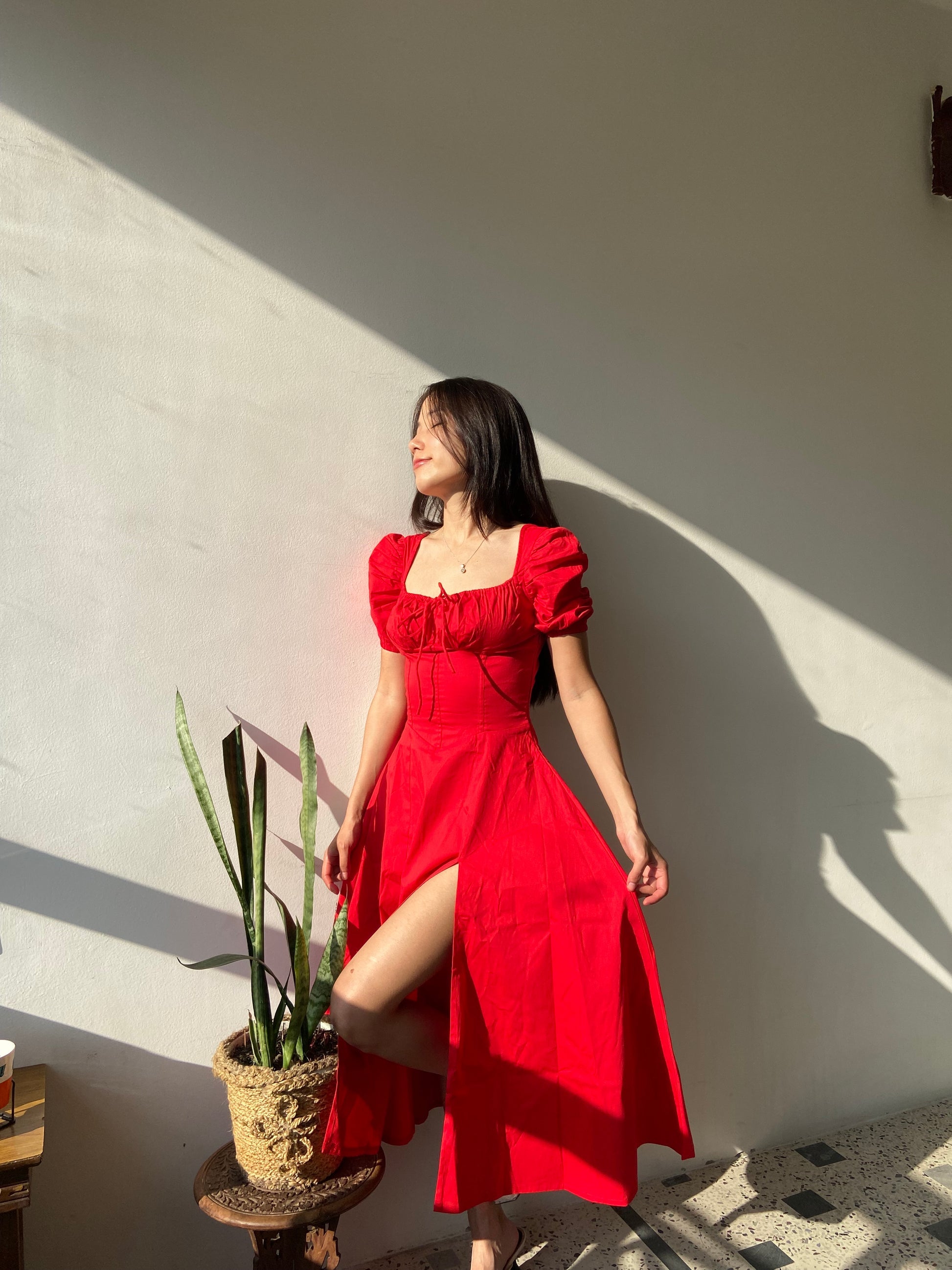 Red Rose Dress