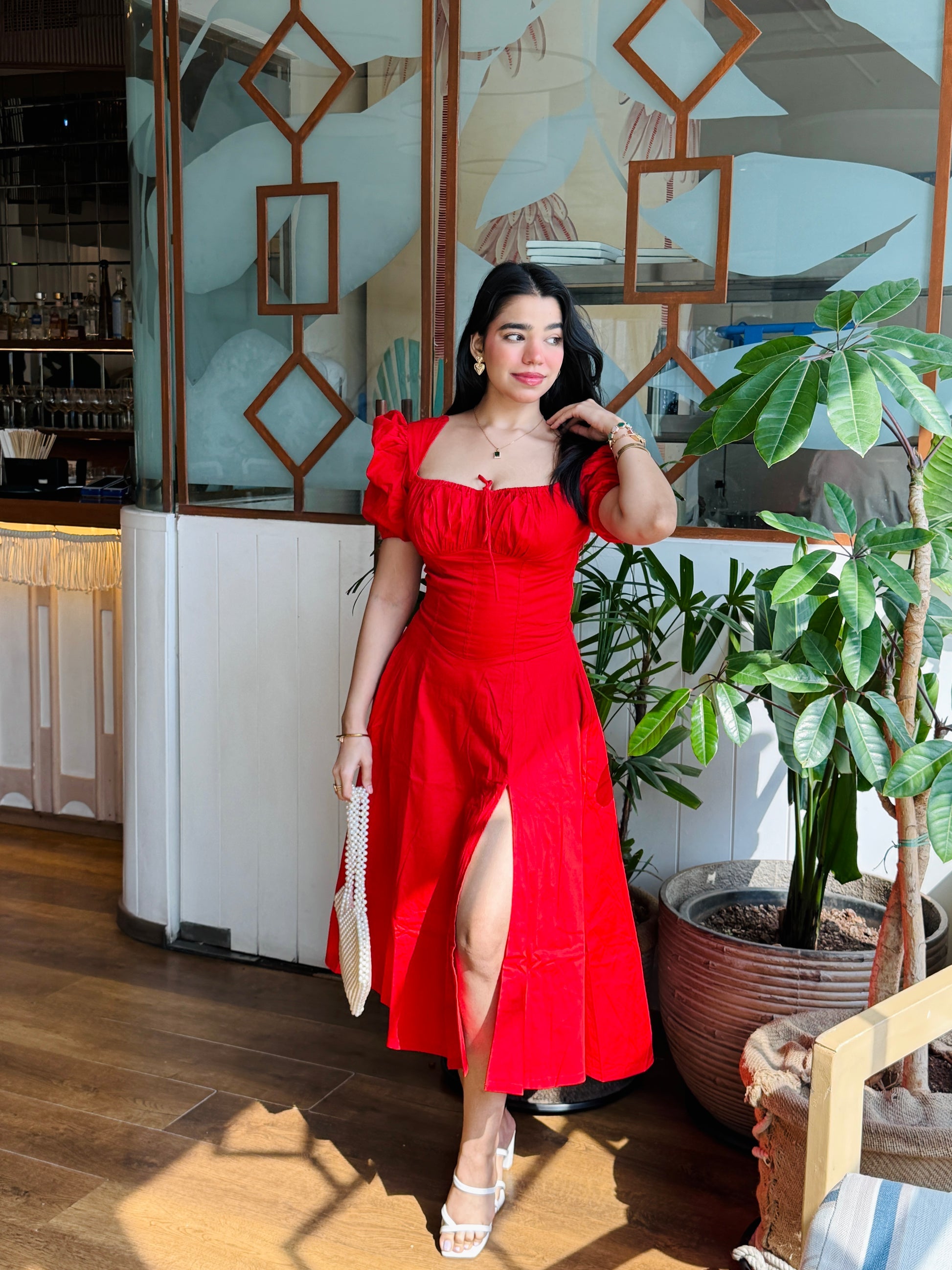 Red Rose Dress