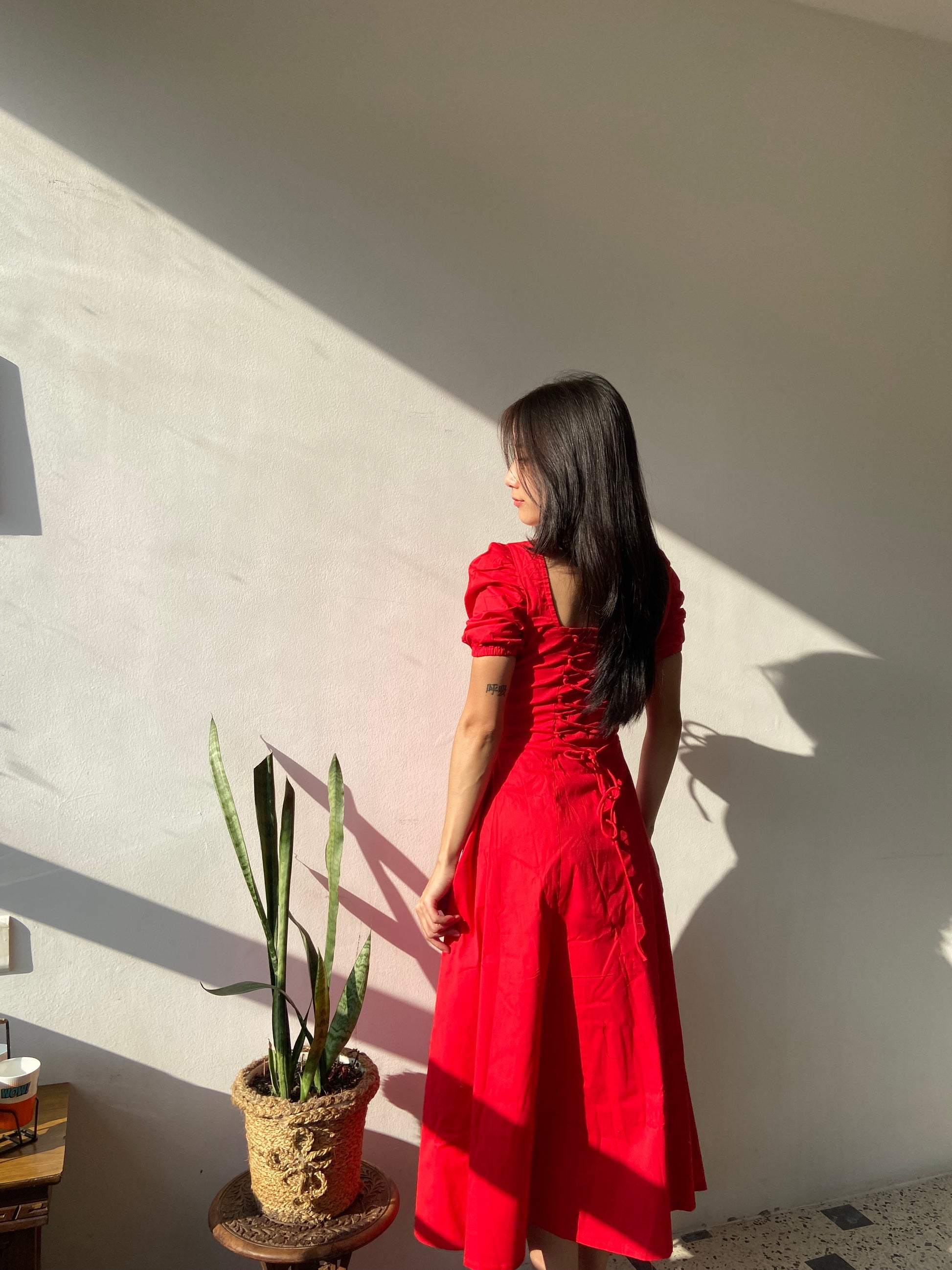 Red Rose Dress