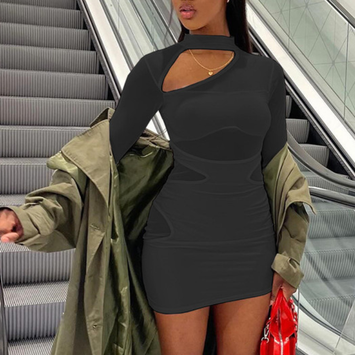 Hollow Out Long Sleeve Semi Sheer Mini Dress