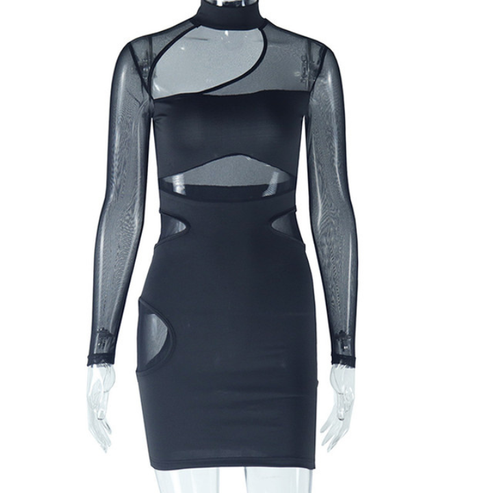 Hollow Out Long Sleeve Semi Sheer Mini Dress