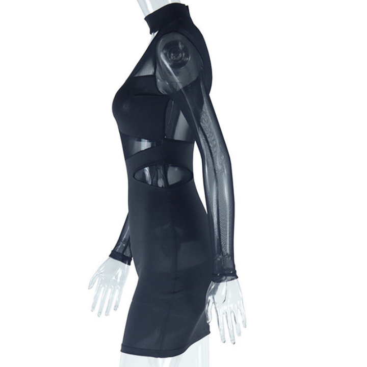 Hollow Out Long Sleeve Semi Sheer Mini Dress