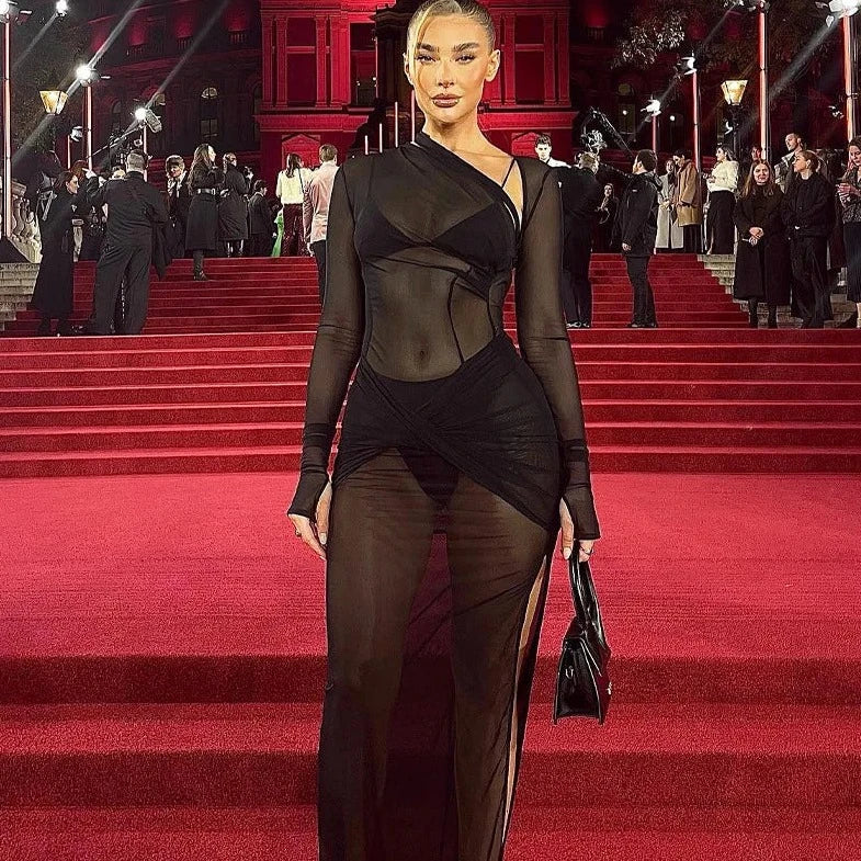 Long Sleeve Mesh See- Through Long Slit Dress